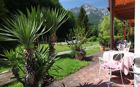 Aparthotel Alpenpark