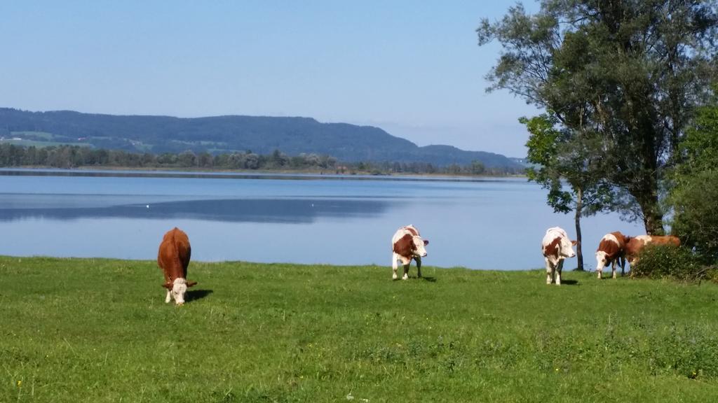 Aparthotel Alpenpark Kochel am See Exterior foto